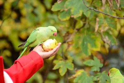 DSC_0510 (Large).JPG